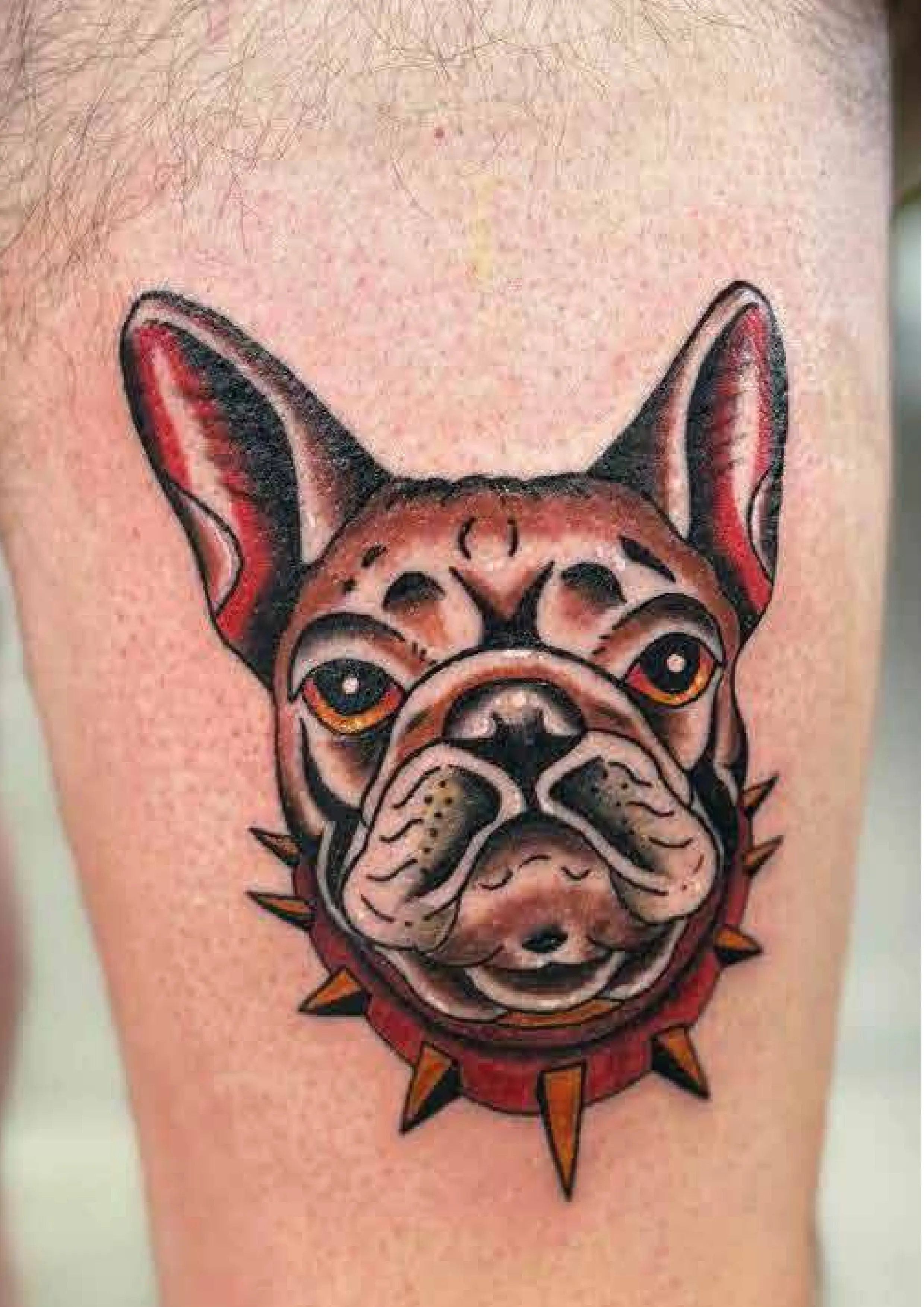 Micro Realism Tattoo - Best Tattoo Studio Seattle
