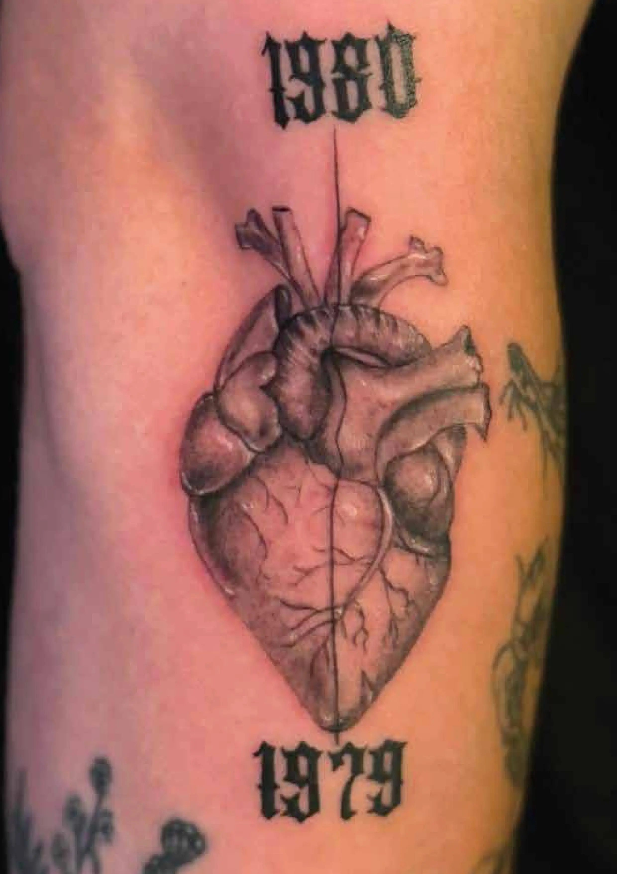 Japanese Tattoo Style - Seattle Tattoo Artist Work